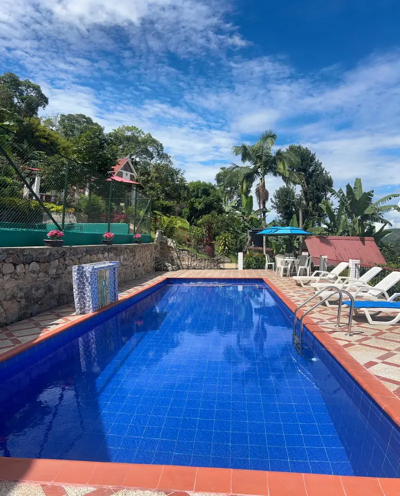 Piscina rodeada de palmas, tumbonas y zona de mesas