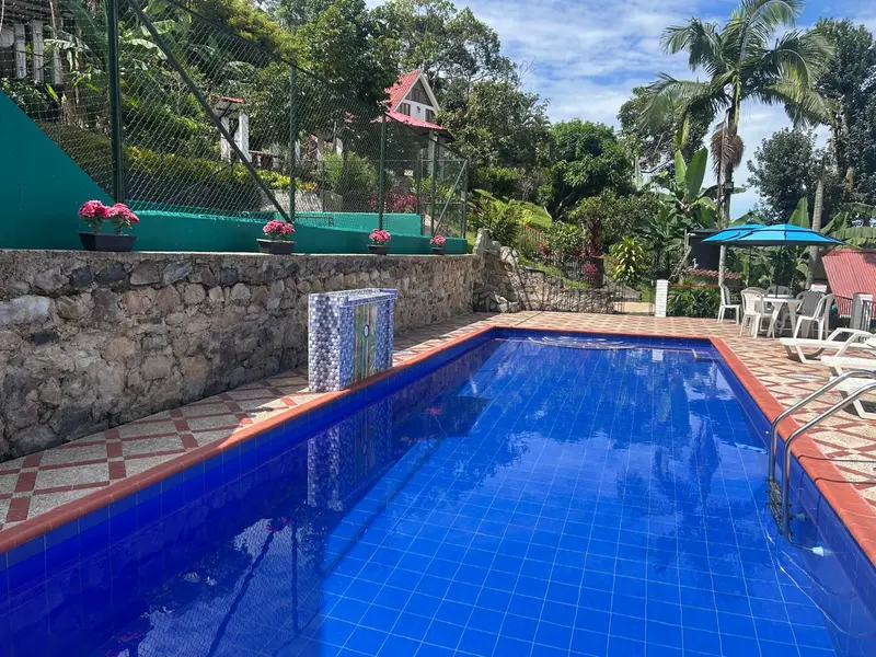 Vista de la piscina y la terraza con tumbonas