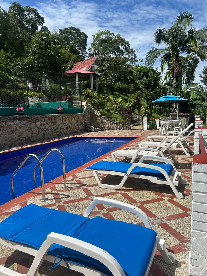 Tumbonas junto a la piscina con el chalet al fondo